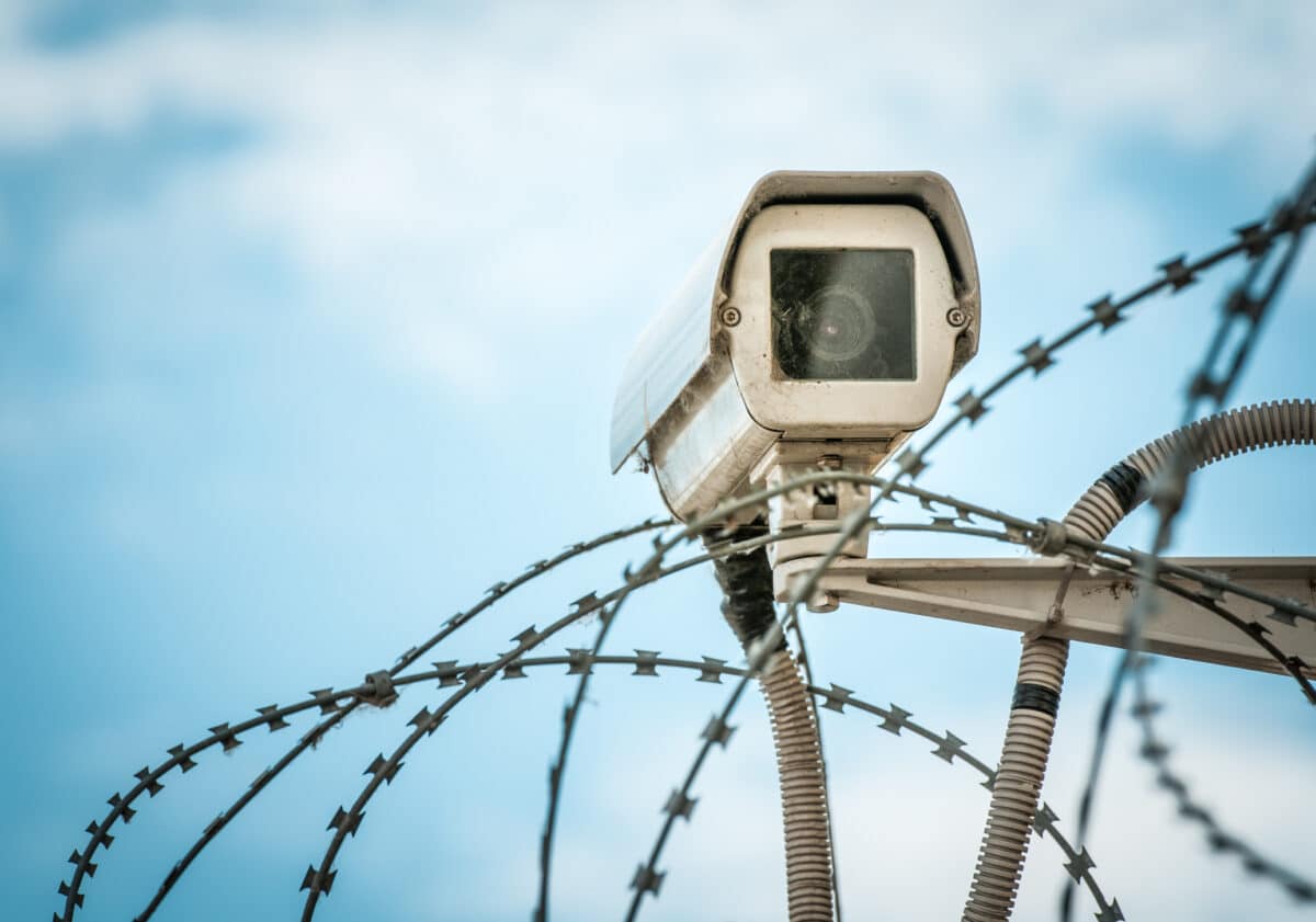 Camera peering through barbed wire