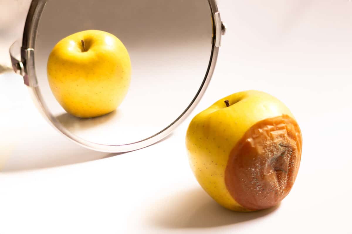 Apple in good condition looking at itself in the mirror while its back is rotten.