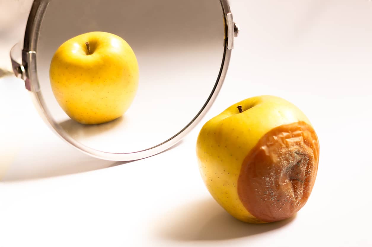 Apple in good condition looking at itself in the mirror while its back is rotten.